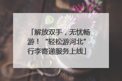 解放双手，无忧畅游！“轻松游河北”行李寄递服务上线