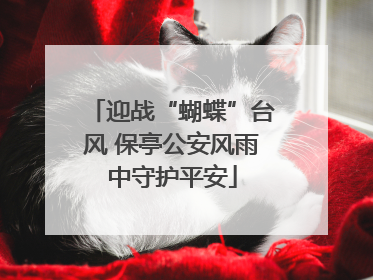 迎战“蝴蝶”台风 保亭公安风雨中守护平安