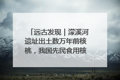 远古发现｜濛溪河遗址出土数万年前核桃，我国先民食用核桃历史大幅提前