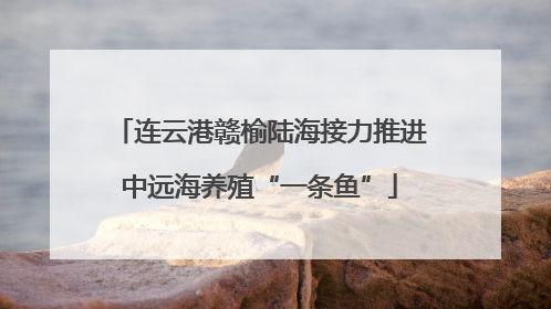 连云港赣榆陆海接力推进中远海养殖“一条鱼”