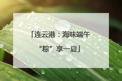 连云港：海味端午 “粽”享一夏