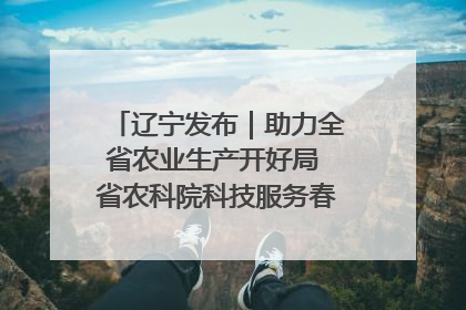 辽宁发布｜助力全省农业生产开好局 省农科院科技服务春耕备耕成效显著