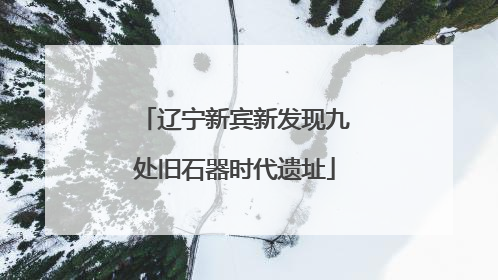 辽宁新宾新发现九处旧石器时代遗址