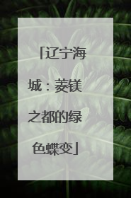 辽宁海城：菱镁之都的绿色蝶变