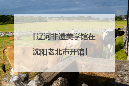 辽河非遗美学馆在沈阳老北市开馆