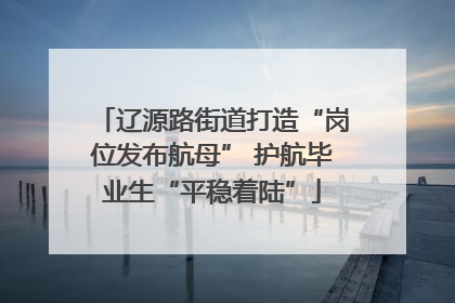 辽源路街道打造“岗位发布航母” 护航毕业生“平稳着陆”