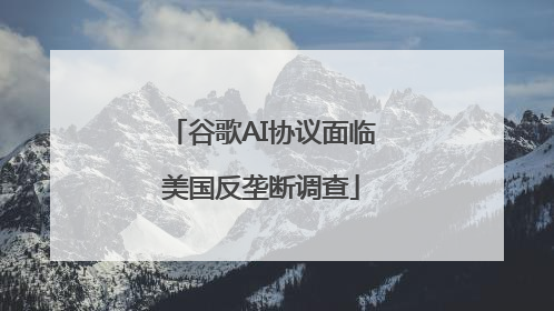谷歌AI协议面临美国反垄断调查