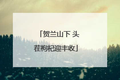 贺兰山下 头茬枸杞迎丰收