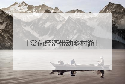 赏荷经济带动乡村游
