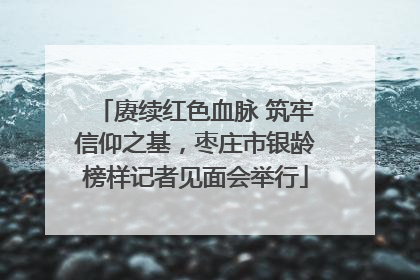 赓续红色血脉 筑牢信仰之基，枣庄市银龄榜样记者见面会举行