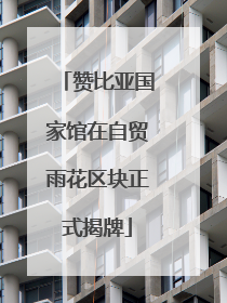 赞比亚国家馆在自贸雨花区块正式揭牌