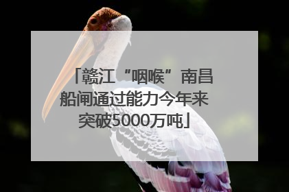 赣江“咽喉”南昌船闸通过能力今年来突破5000万吨