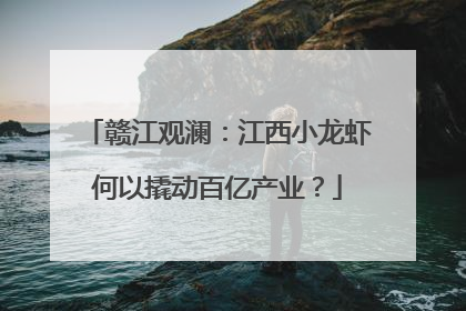 赣江观澜：江西小龙虾何以撬动百亿产业？