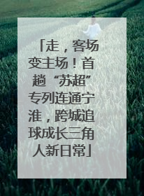 走，客场变主场！首趟“苏超”专列连通宁淮，跨城追球成长三角人新日常
