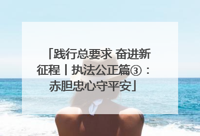 践行总要求 奋进新征程丨执法公正篇③：赤胆忠心守平安