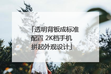透明背板成标准配置 2K档手机拼起外观设计