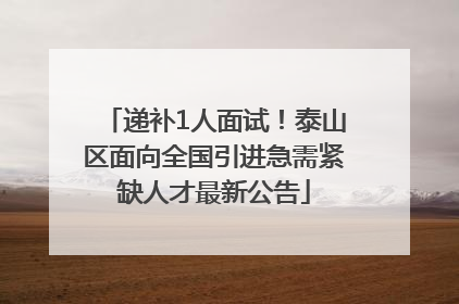 递补1人面试！泰山区面向全国引进急需紧缺人才最新公告
