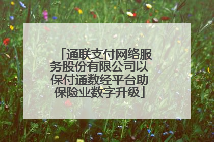 通联支付网络服务股份有限公司以保付通数经平台助保险业数字升级