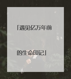 遇见亿万年前的生命印记