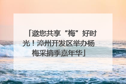 邀您共享“梅”好时光！漳州开发区举办杨梅采摘季嘉年华