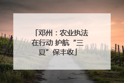 邓州：农业执法在行动 护航“三夏”保丰收