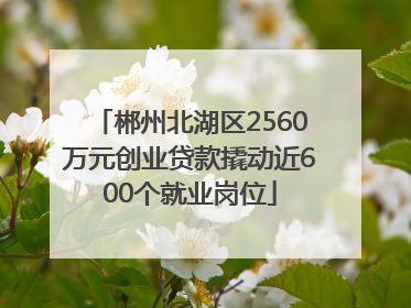 郴州北湖区2560万元创业贷款撬动近600个就业岗位