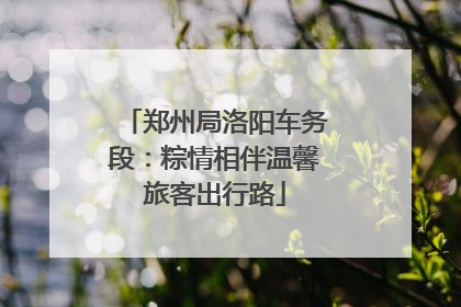 郑州局洛阳车务段：粽情相伴温馨旅客出行路