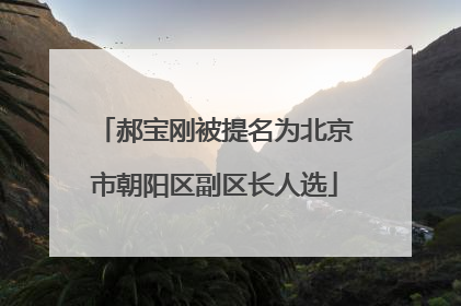郝宝刚被提名为北京市朝阳区副区长人选