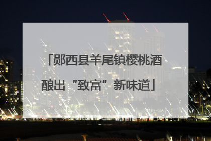 郧西县羊尾镇樱桃酒酿出“致富”新味道
