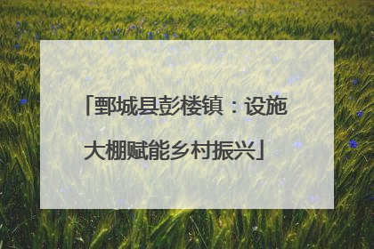 鄄城县彭楼镇：设施大棚赋能乡村振兴