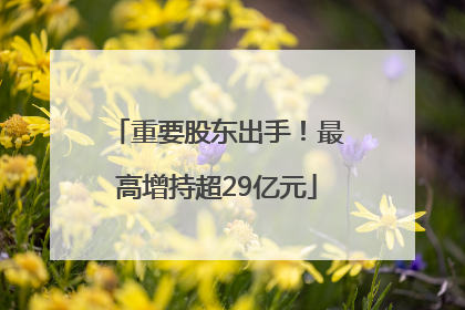 重要股东出手！最高增持超29亿元