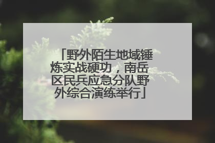 野外陌生地域锤炼实战硬功，南岳区民兵应急分队野外综合演练举行