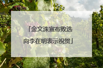 金文洙宣布败选 向李在明表示祝贺