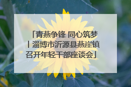 青燕争锋 同心筑梦丨淄博市沂源县燕崖镇召开年轻干部座谈会
