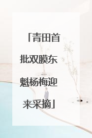 青田首批双膜东魁杨梅迎来采摘