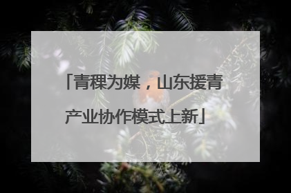 青稞为媒，山东援青产业协作模式上新