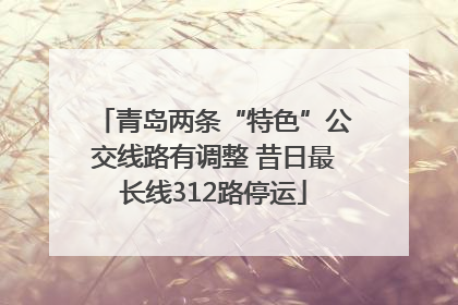青岛两条“特色”公交线路有调整 昔日最长线312路停运