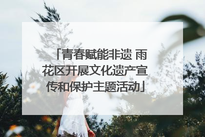 青春赋能非遗 雨花区开展文化遗产宣传和保护主题活动