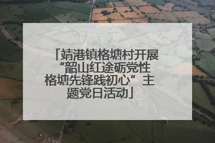 靖港镇格塘村开展“韶山红途砺党性 格塘先锋践初心”主题党日活动