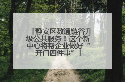静安区数通链谷升级公共服务！这个新中心将帮企业做好“开门四件事”