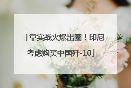靠实战火爆出圈！印尼考虑购买中国歼-10