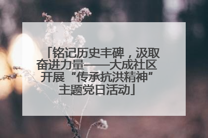 铭记历史丰碑，汲取奋进力量——大成社区开展“传承抗洪精神”主题党日活动