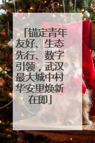 锚定青年友好、生态先行、数字引领，武汉最大城中村华安里焕新在即