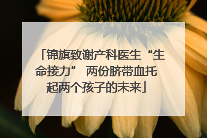 锦旗致谢产科医生“生命接力” 两份脐带血托起两个孩子的未来