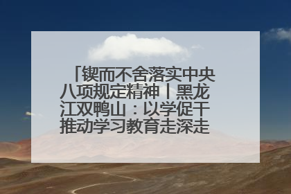锲而不舍落实中央八项规定精神丨黑龙江双鸭山：以学促干推动学习教育走深走实 从小事入手写好“民生答卷”