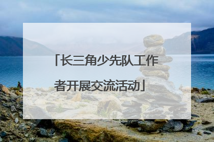 长三角少先队工作者开展交流活动