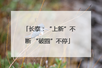 长泰：“上新”不断 “破圈”不停