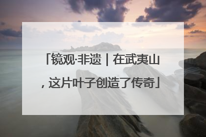 镜观·非遗｜在武夷山，这片叶子创造了传奇