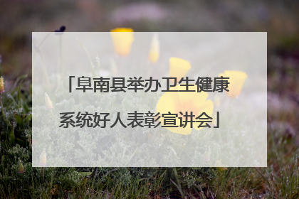 阜南县举办卫生健康系统好人表彰宣讲会