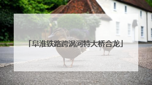 阜淮铁路跨涡河特大桥合龙